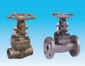 YZZ Series Gate
