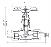 YZJ-2B (J21W) external threaded globe valve