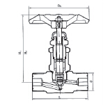 YZJ-2C (J21W) external threaded globe valve